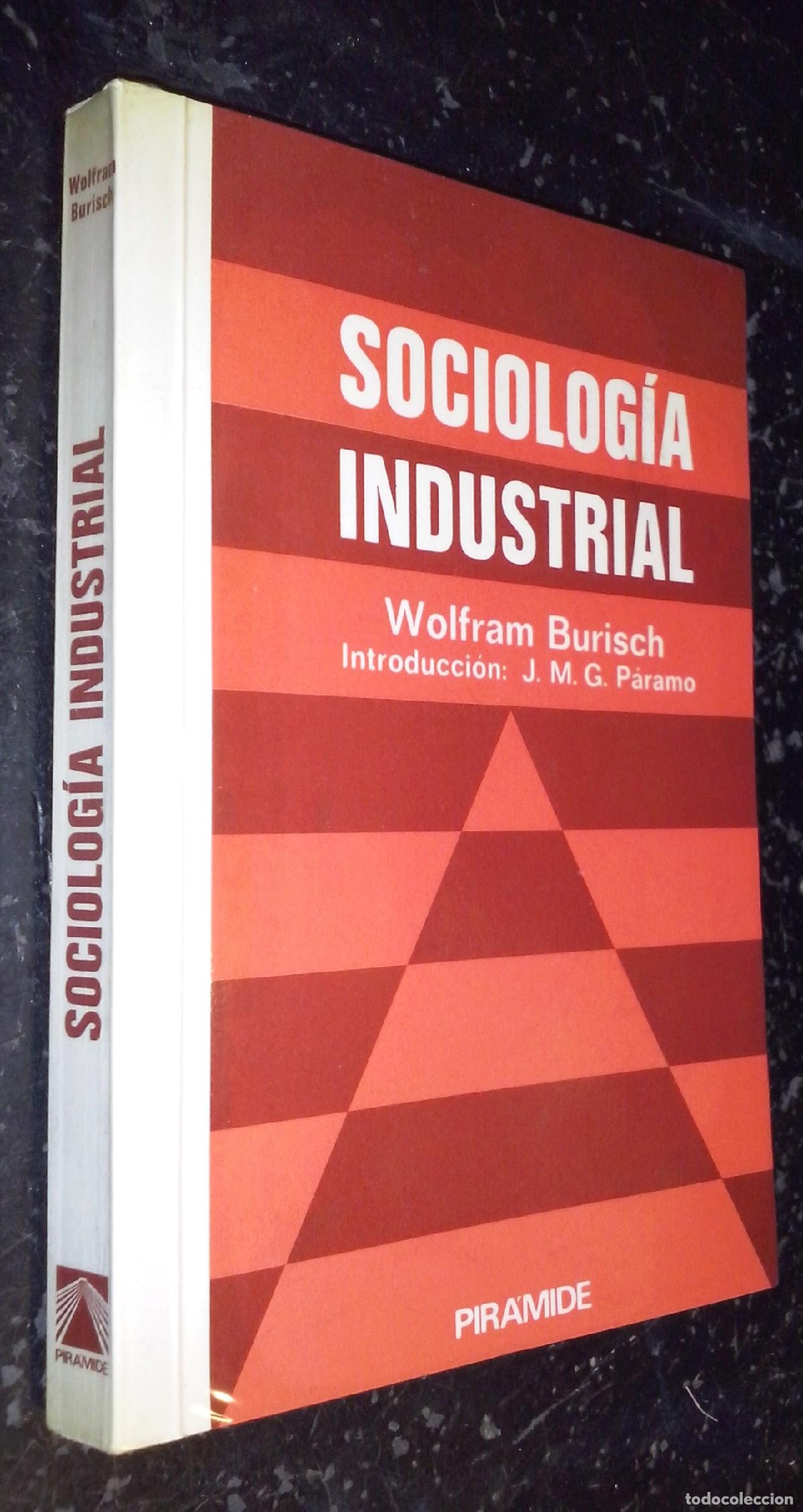 Libri di seconda mano: Sociolog&iacute;a industrial - BURISCH, Wolfram: