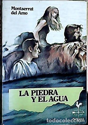 books: La piedra y el agua - Amo, Montserrat del: