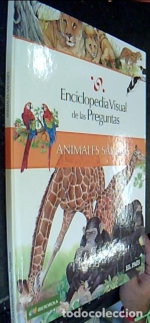 Libros: Animales salvajes - BRITO BARROTE, Marisa do: - Foto 1