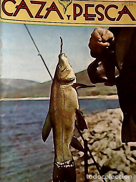 Libros: Caza y pesca. Revista mensual. N&ordm; 473. Mayo 1982. - Espa&ntilde;a Paya, Joaquin ( director ) - AA.VV.: