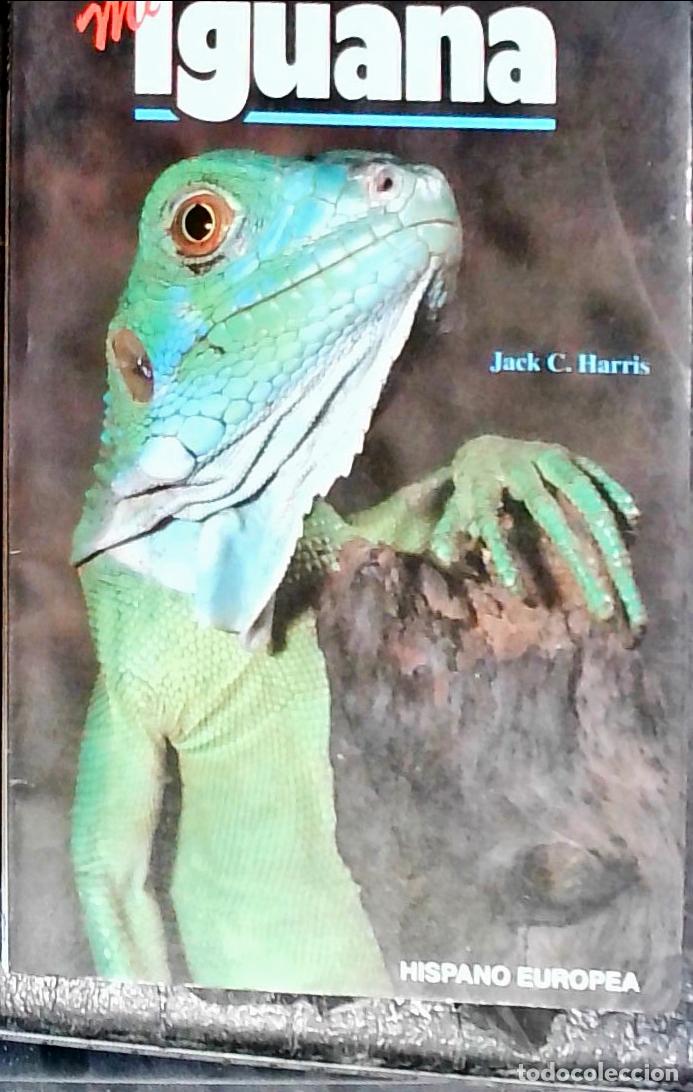 B&uuml;cher: Mi iguana - Harris, Jack C.:
