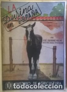 Libri di seconda mano: La durina en Espa&ntilde;a - ORENSANZ MOLINE, Jos&eacute;: