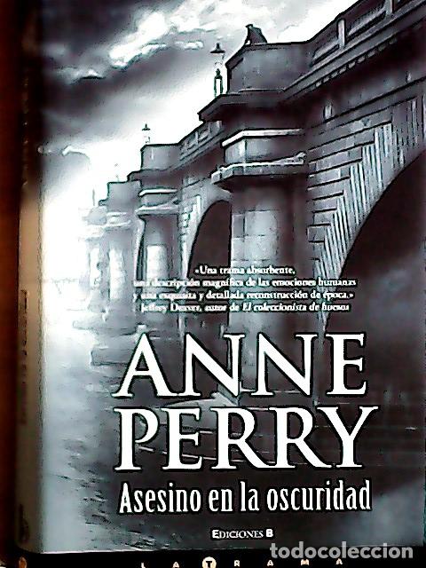 Libros: Asesino en la oscuridad - Perry, Anne F: