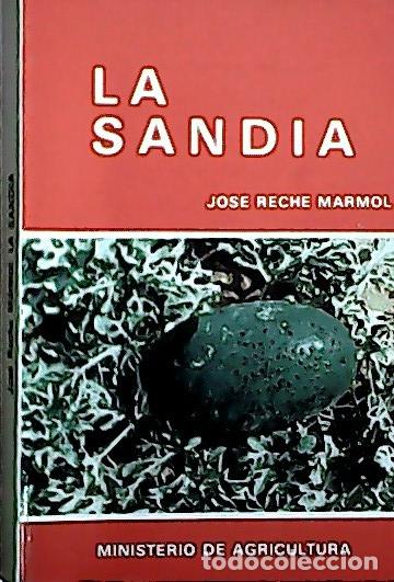 Livros em segunda m&atilde;o: La sand&iacute;a - Reche M&aacute;rmol, Jos&eacute; :