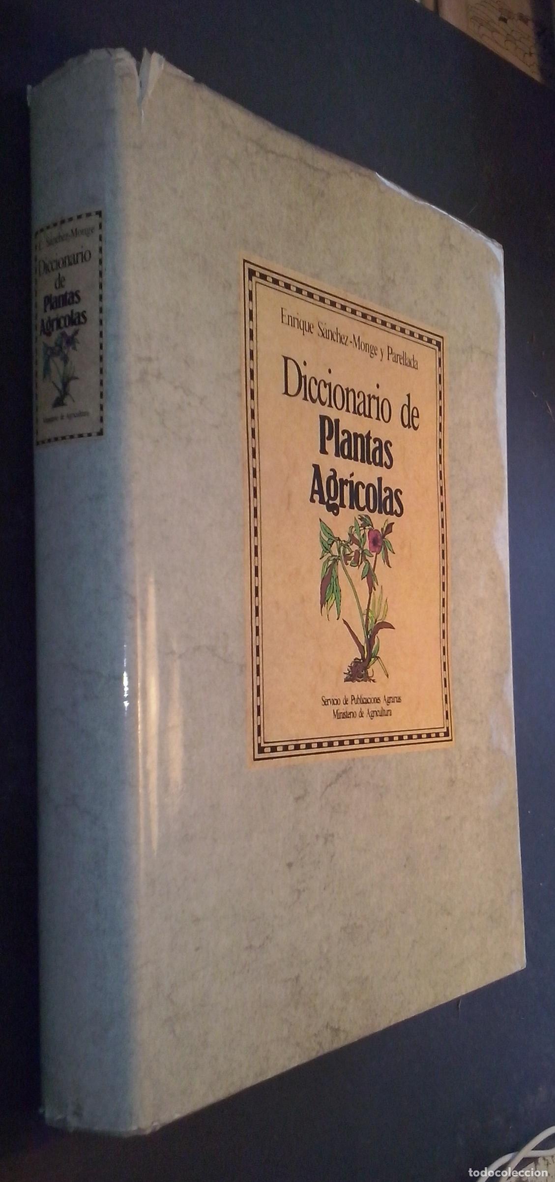 Libri di seconda mano: Diccionario de plantas agr&iacute;colas - S&Aacute;NCHEZ MONGE Y PARELLADA, Enrique: