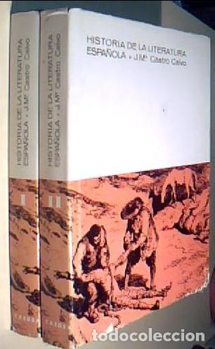 Libri di seconda mano: Historia de la literatura espa&ntilde;ola. 2 tomos - CASTRO CALVO, Jos&eacute; M&ordf;: