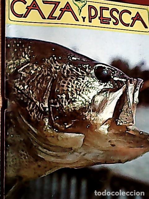Libros: Caza y pesca. Revista mensual. N&ordm; 453. Septiembre 1980. - Espa&ntilde;a Paya, Joaquin ( director ) - AA.VV.