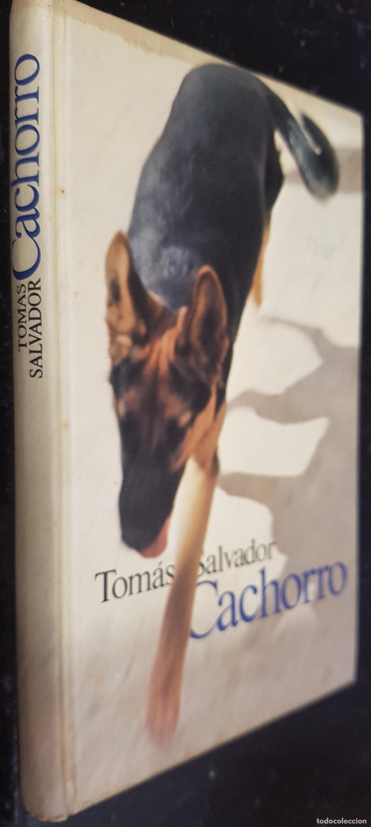 Libros: Cachorro - SALVADOR, Tom&aacute;s: - Foto 1