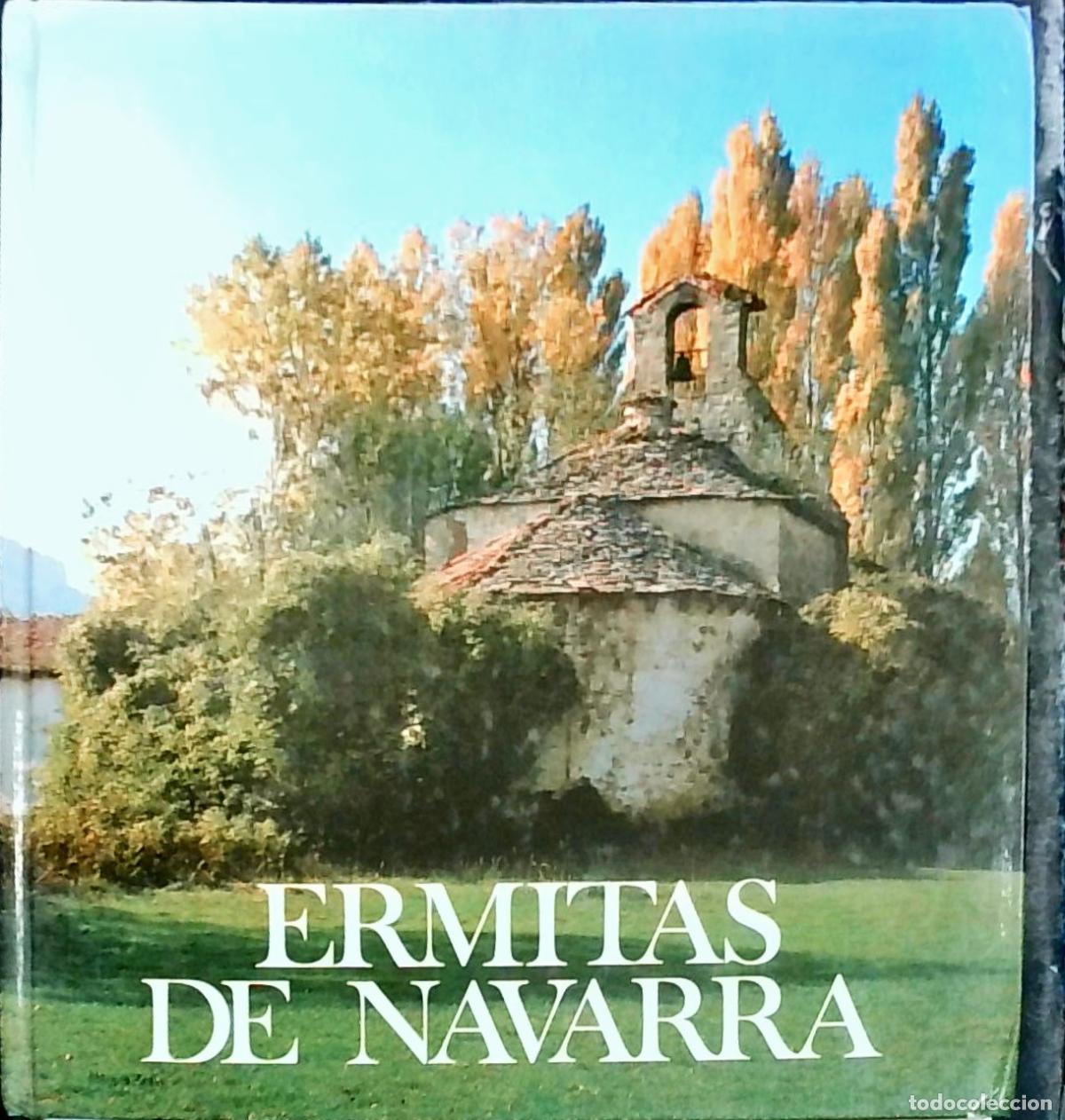 Libros: Ermitas de Navarra - Fernando P&eacute;rez Ollo: - Foto 1