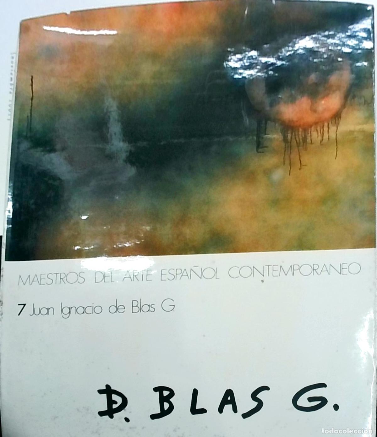 Libri di seconda mano: Maestros del Arte Espa&ntilde;ol Contempor&aacute;neo 7: Juan Ignacio de Blas G. - Juan Ignacio de Blas Guerrero: