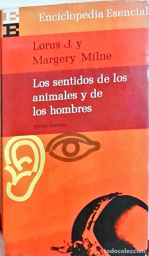 Libri di seconda mano: Los sentidos de los animales y de los hombres - Lorus J. y Margery Milne: