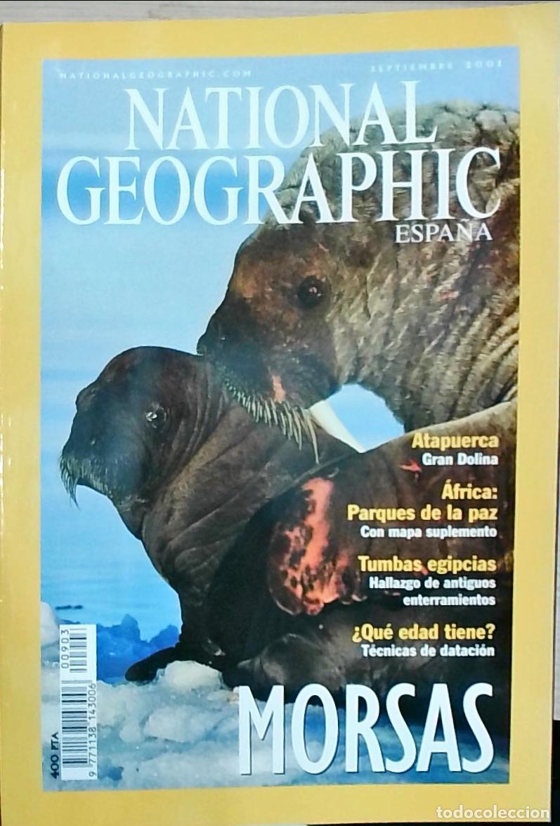 Livres: Nationa Geographic Espa&ntilde;a. Septiembre: Morsas. Atapuerca. Tumbas egipcias - REVISTA: