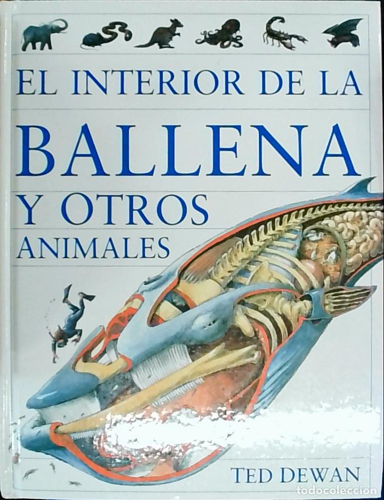 Libri di seconda mano: El interior de la ballena y otros animales - Ted Dewan: