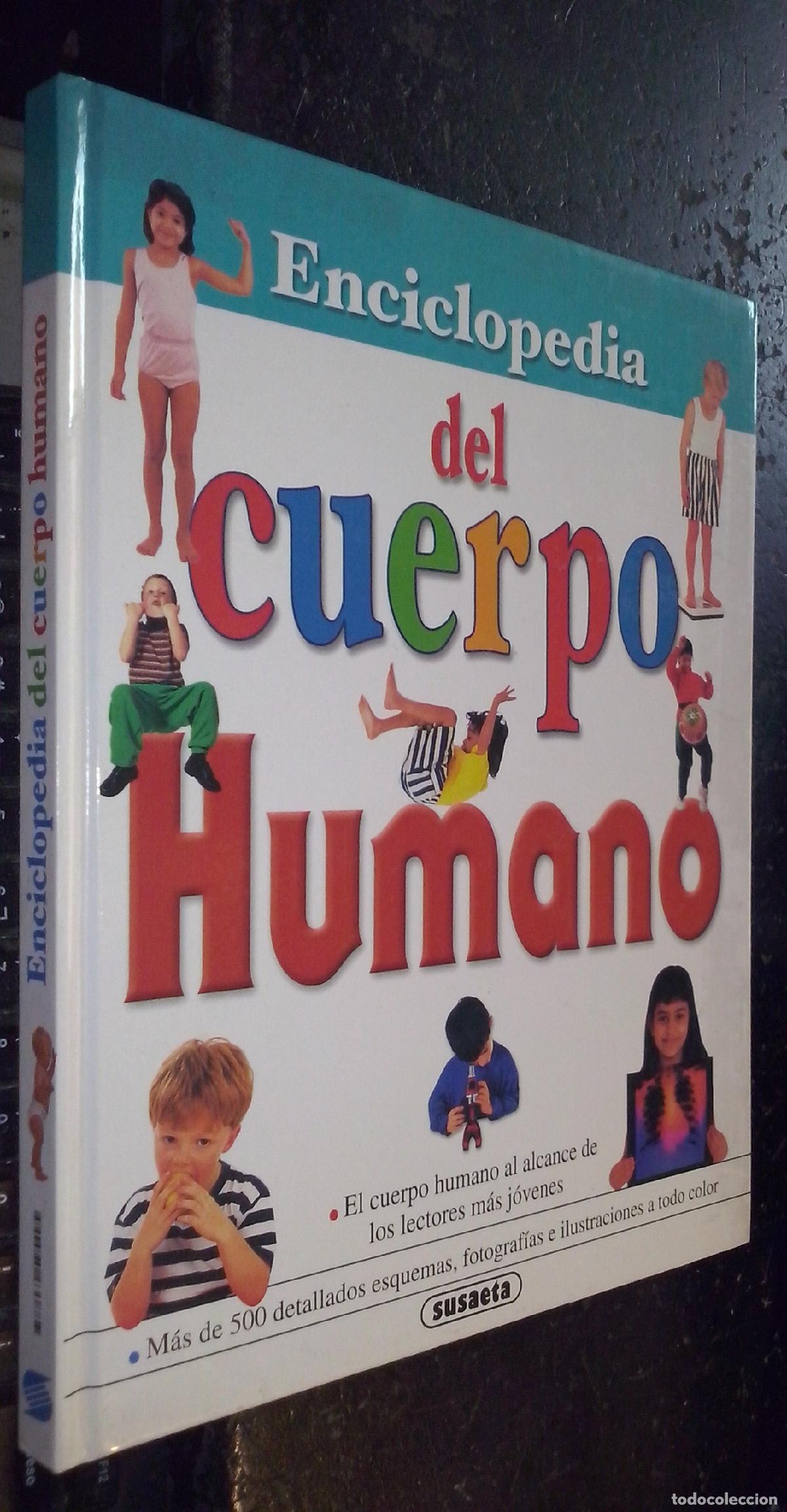 B&uuml;cher: Primera enciclopedia del cuerpo humano - WALKER, Richard: