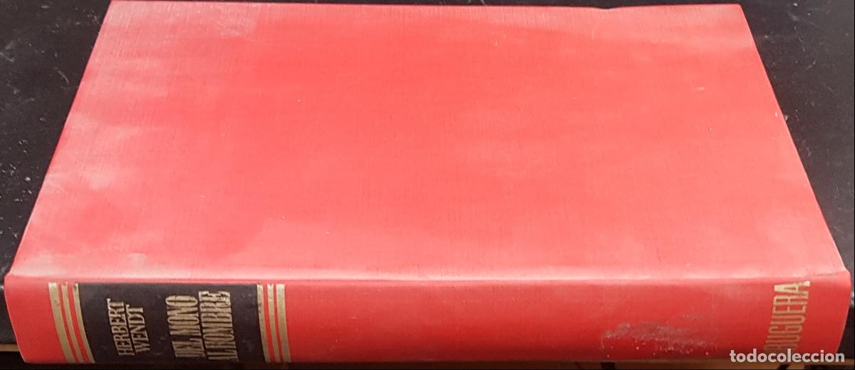 Libros: Del mono al hombre - WENDT, Herbert: - Foto 1