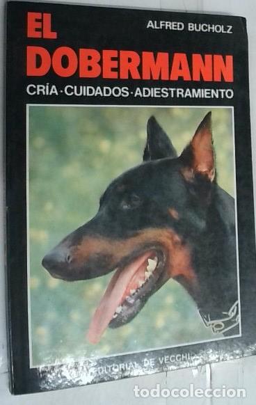 Libros: El dobermann - Bucholz, Alfred: - Foto 1