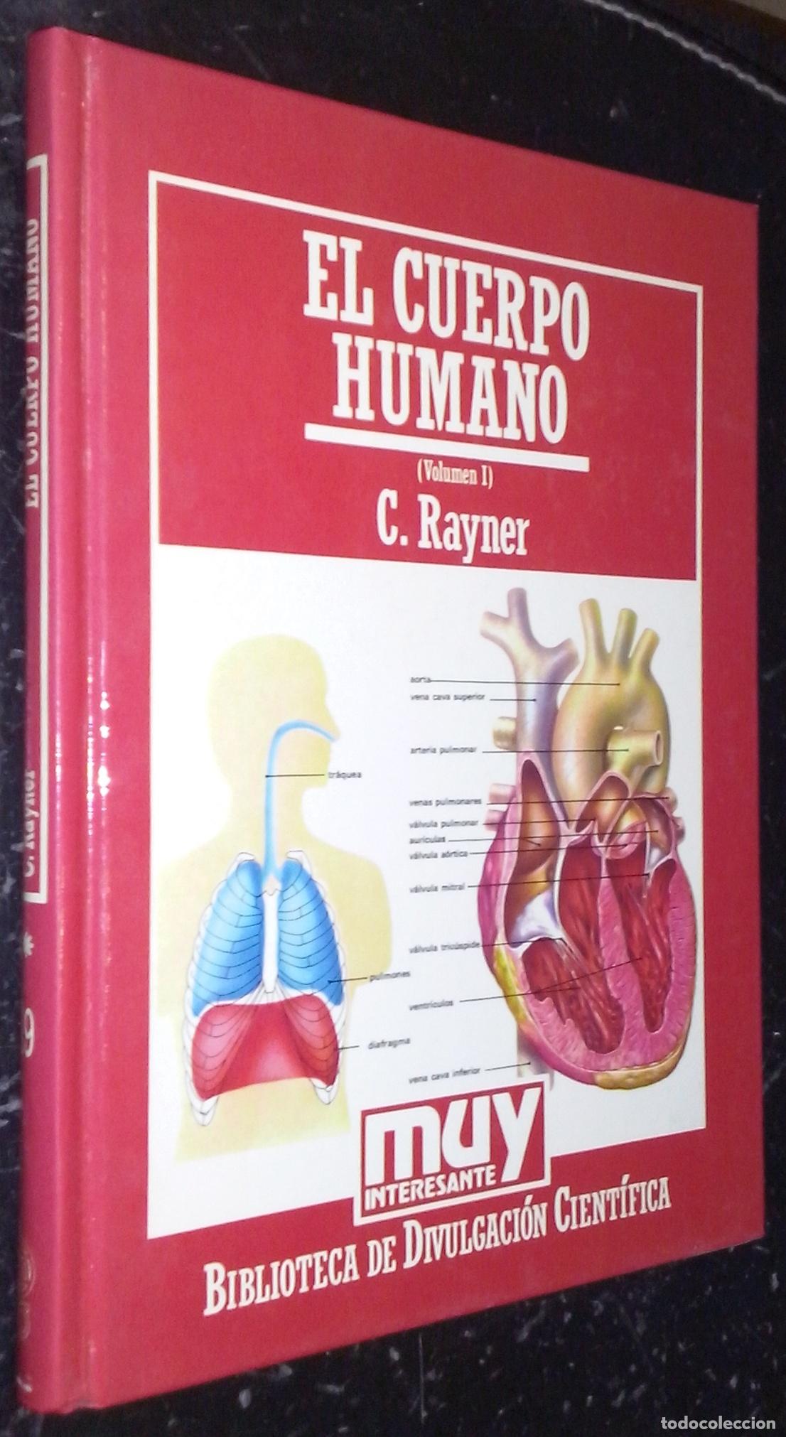Libros: El cuerpo humano. Volumen I - RAYNER, C.: - Foto 1
