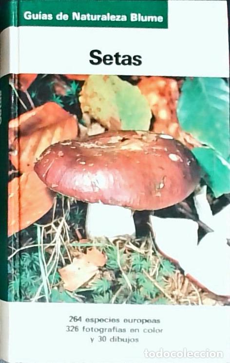 Libros: Setas - Gruenert, Helmu: - Foto 1