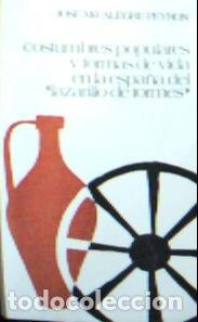 Libros: Costumbres populares y formas de vida en la Espa&ntilde;a del lazarillo - Alegre Peyr&oacute;n, Jos&eacute; Mar&iacute;a: