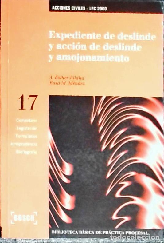 Livres: Expediente de deslinde y acci&oacute;n de deslinde y amojonamiento - M&eacute;ndez, Rosa M: