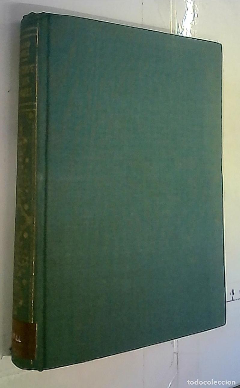 B&uuml;cher: La estirpe de los O'Donnell - Powell, Richard:
