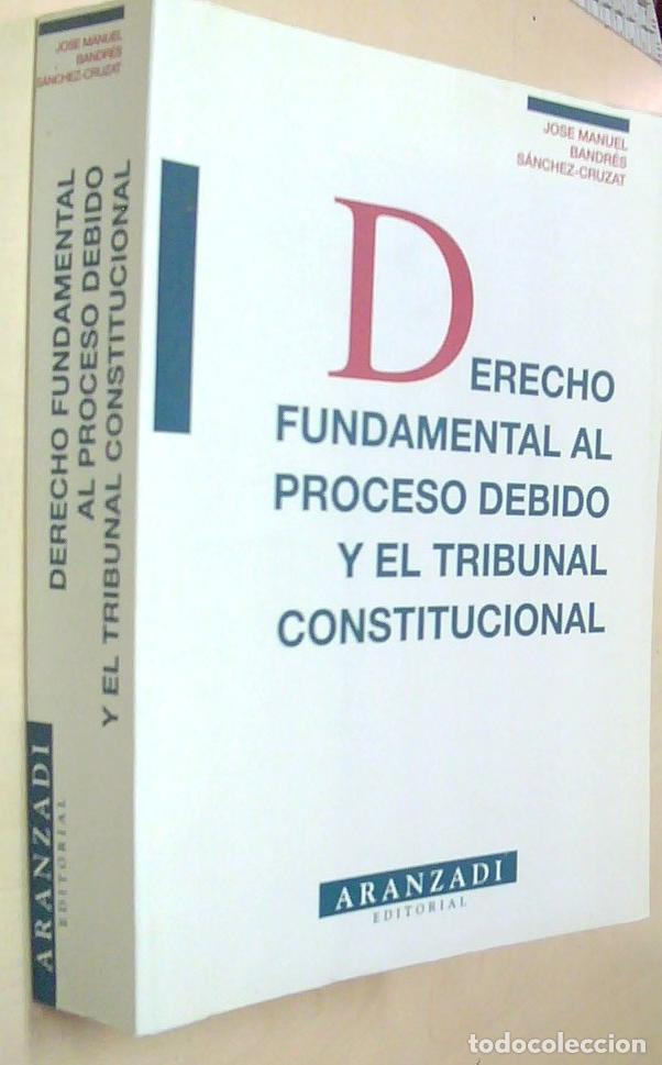 Libri di seconda mano: Derecho fundamental al proceso debido y el Tribunal Constitucional - BANDRES SANCHEZ CRUZAT, Jos&eacute; Ma