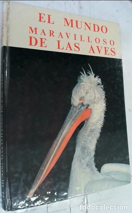 B&uuml;cher: El mundo maravilloso de las aves - Quintanilla Sainz, Efren: