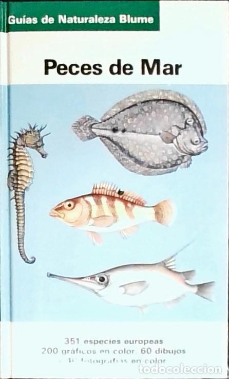 Libros: Peces de mar - Terofal, Fritz: