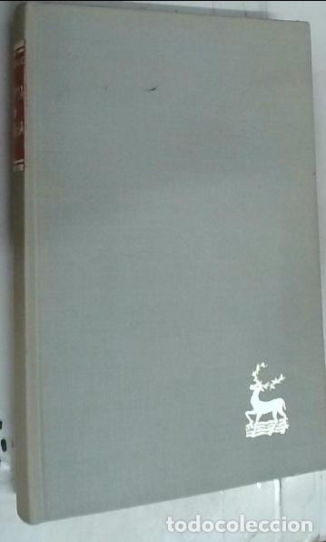 Libri di seconda mano: Siglo XIX: Socialismo, materialismo y positivismo. Kierkegaard y Nietzsche. Historia de la filosof&iacute;a