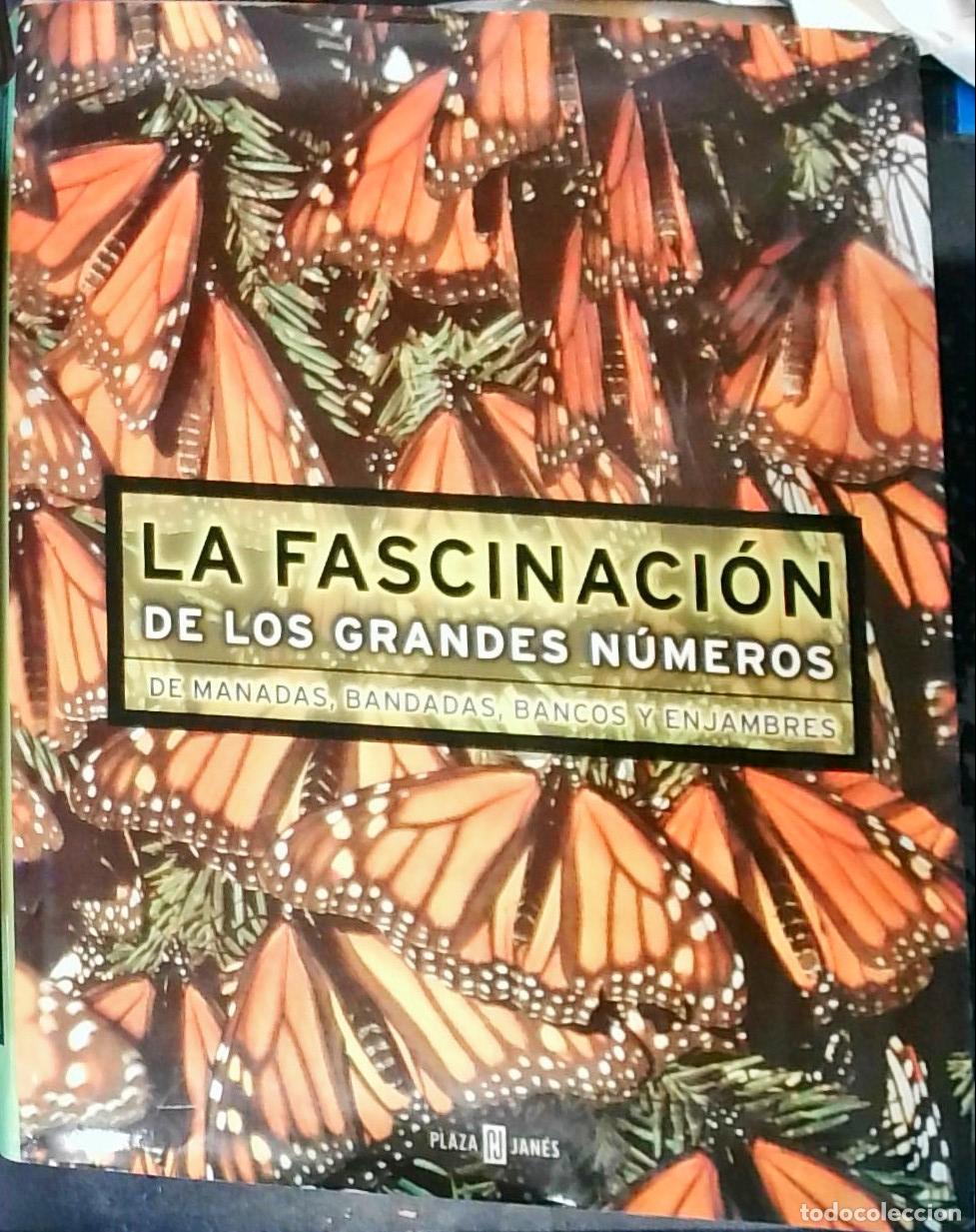 books: La fascinaci&oacute;n de los grandes n&uacute;meros de manadas, bandadas, bancos y enjambres - Autores Varios:
