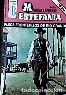 Libros: Pasos fronterizos de r&iacute;o Grande - Estefan&iacute;a, M. L.: