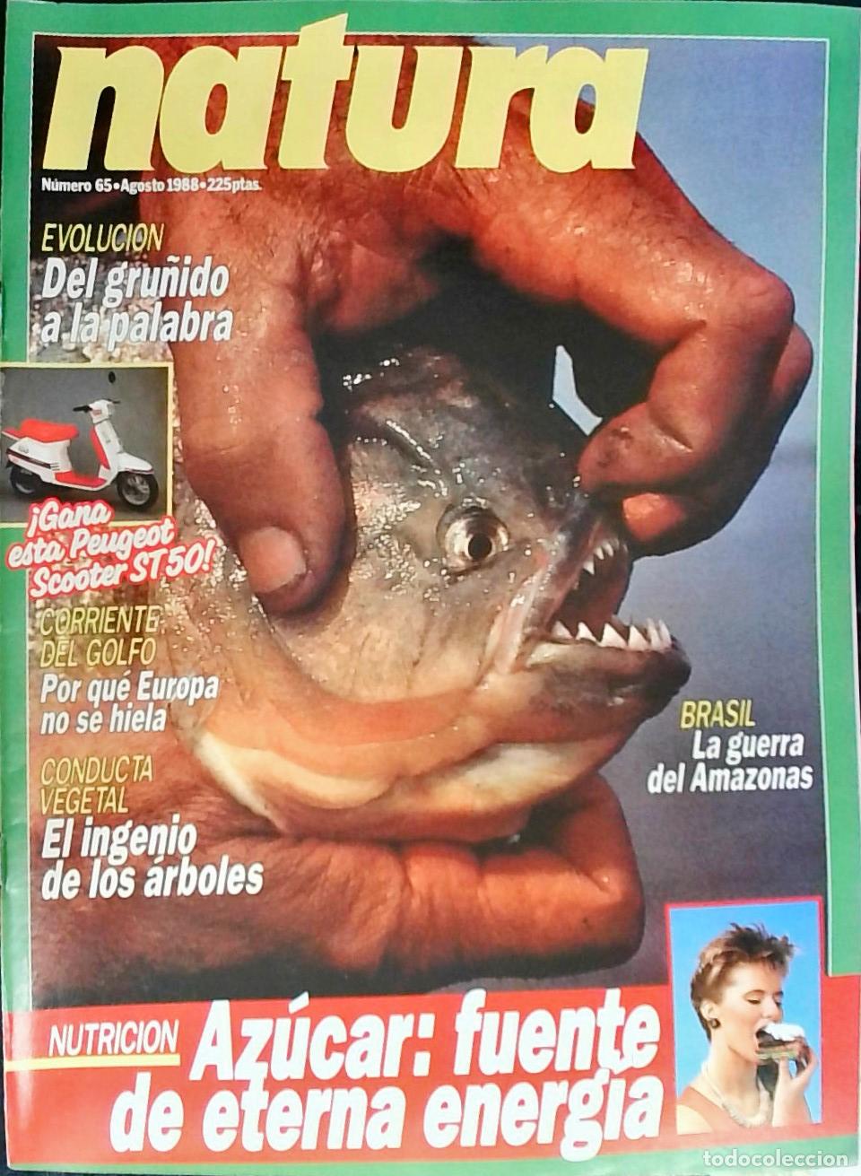 Libros: Revista Natura n&ordm; 65 - Autores Varios: