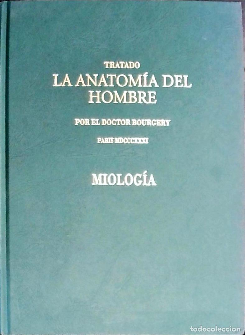 B&uuml;cher: Tratado de anatom&iacute;a del hombre: anatom&iacute;a descriptiva y fisiol&oacute;gica. Miolog&iacute;a - Bourgery, Doctor: