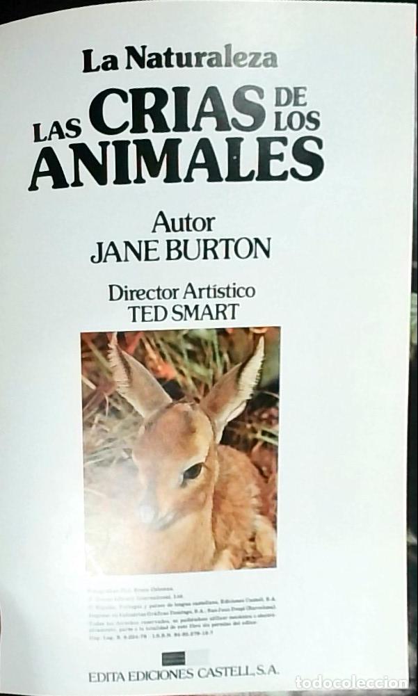B&uuml;cher: La naturaleza: las cr&iacute;as de los animales - Burton, Jane: