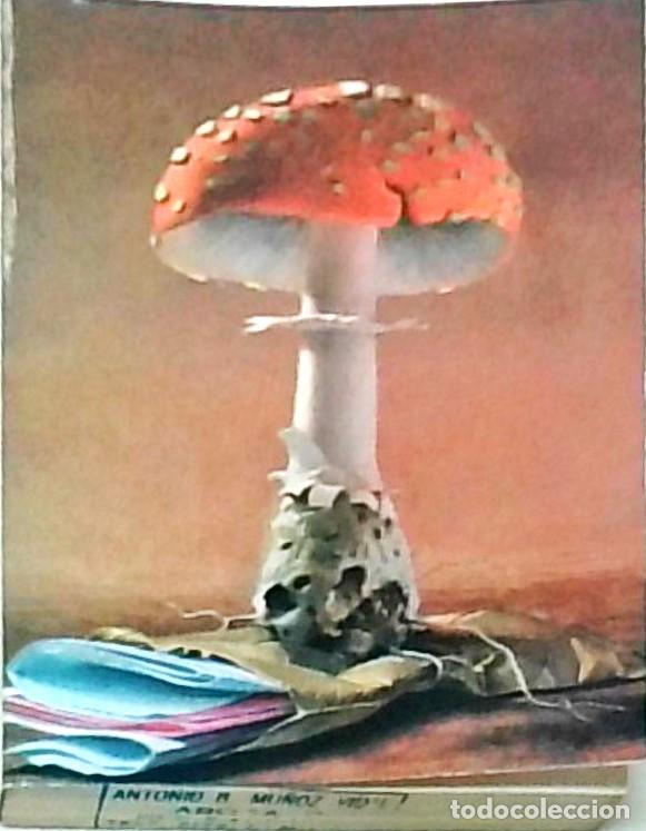 Libros: Le myst&eacute;rieuse affaire de styles - CHRISTIE, Agatha: - Foto 1