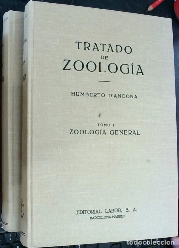 B&uuml;cher: Tratado de zoolog&iacute;a. Tomo I: Zoolog&iacute;a general. Tomo II: Zoolog&iacute;a especial - D' Ancona, Humberto: