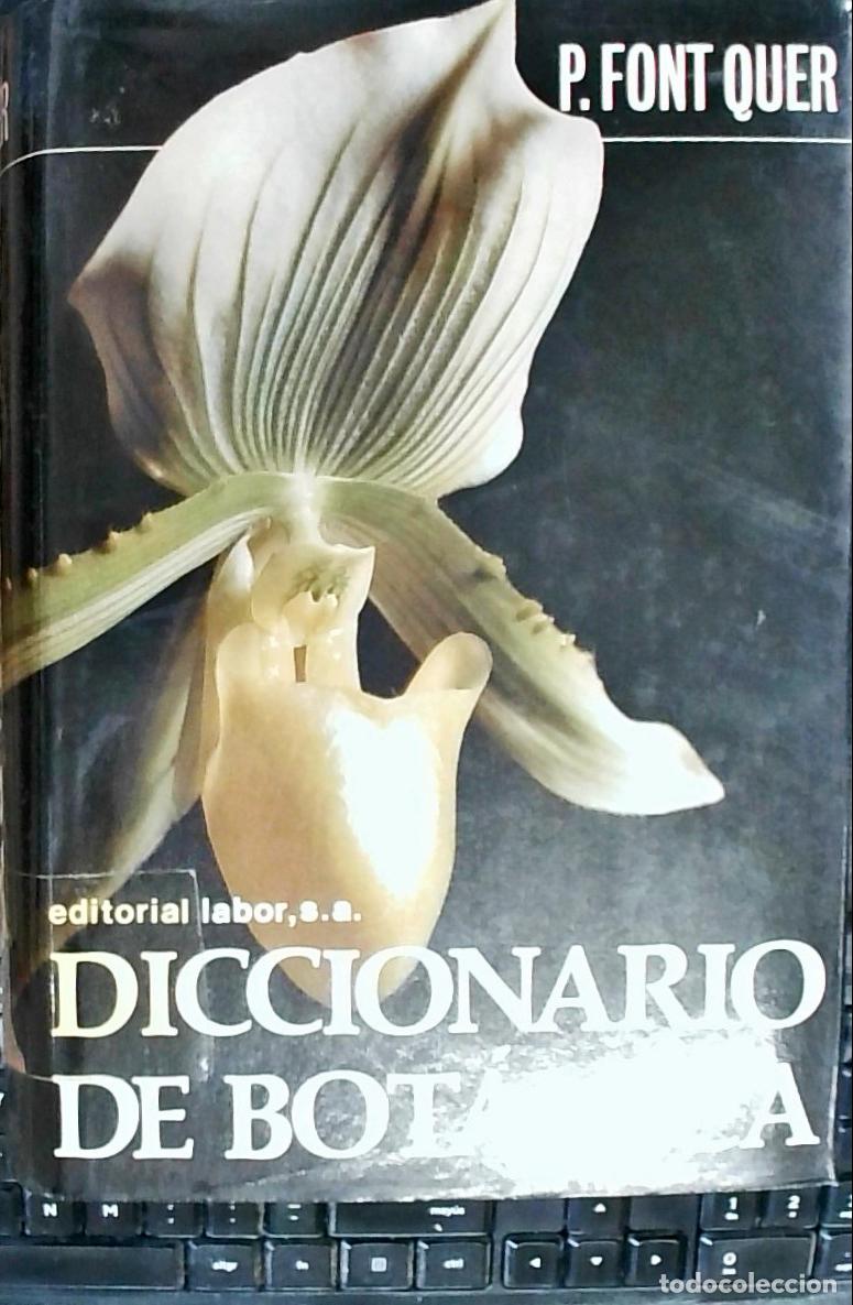 B&uuml;cher: Diccionario de bot&aacute;nica - Font i Quer, Pius: