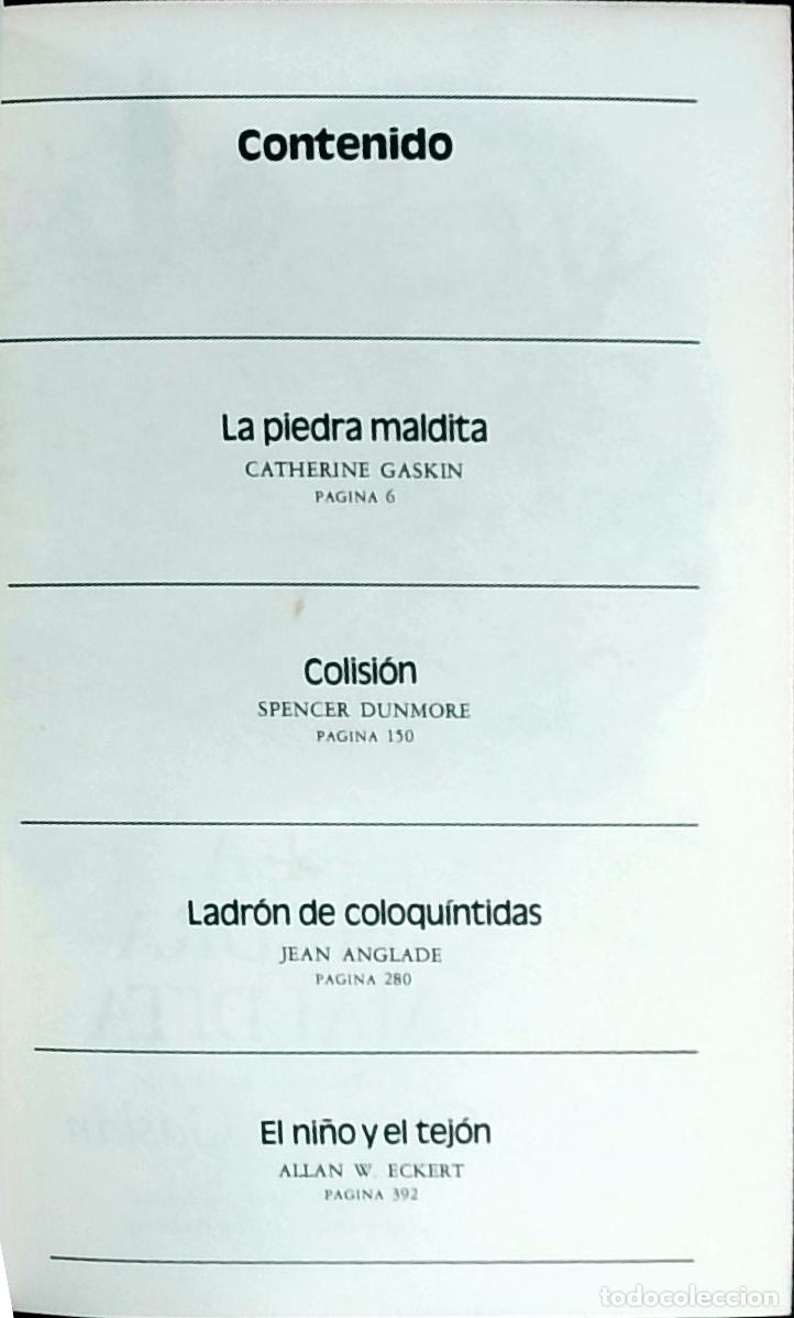 B&uuml;cher: La piedra maldita; Colisi&oacute;n; Ladr&oacute;n de coloqu&iacute;ntidas; El ni&ntilde; y el tej&oacute;n - Gaskin, Catherine; Dunmore