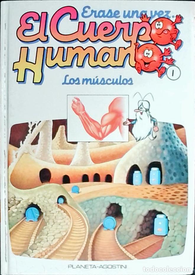Libros: Los m&uacute;sculos - Llobet Colom&eacute;, Ram&oacute;n: - Foto 1