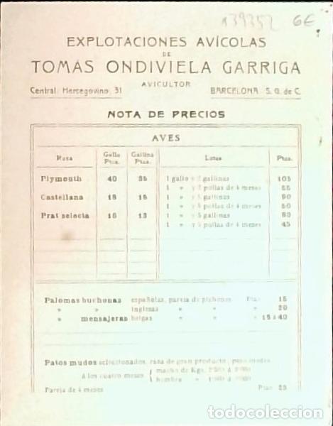 Libros: Explotaciones av&iacute;colas de Tom&aacute;s Ondiviela garriga avicultor - PUBLICIDAD: