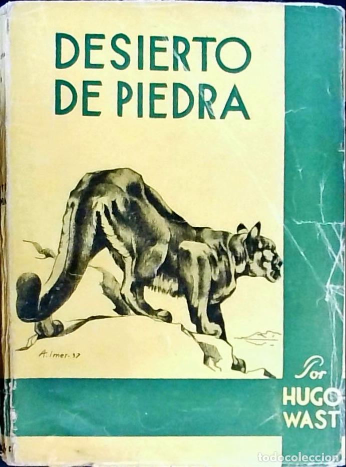 B&uuml;cher: Desierto de piedra - Wast, Hugo: