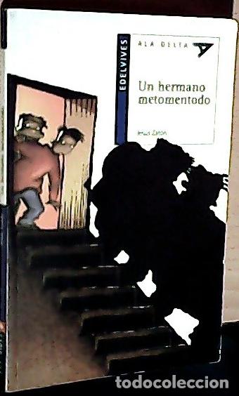 books: Un hermano metomentodo - Zat&oacute;n Santiago, Jes&uacute;s: