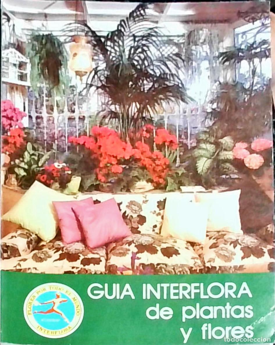 Libri di seconda mano: Gu&iacute;a Interflora de plantas y flores - Asociaci&oacute;n Espa&ntilde;ola Interflora: