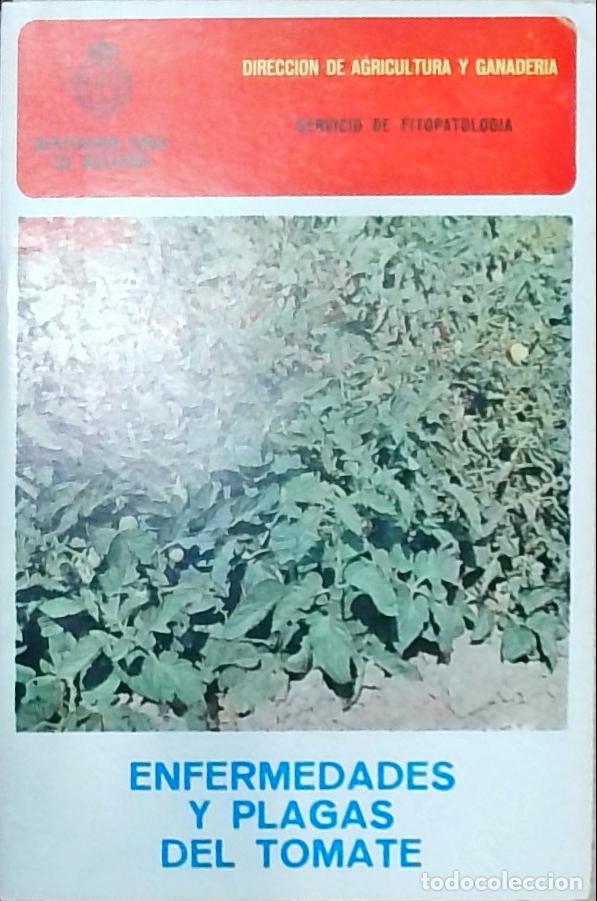 B&uuml;cher: Enfermedades y plagas del tomate - Autores Varios: