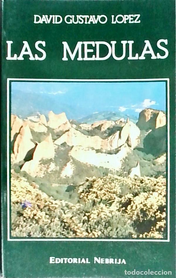 Libros: Las M&eacute;dulas - David Gustavo L&oacute;pez: - Foto 1