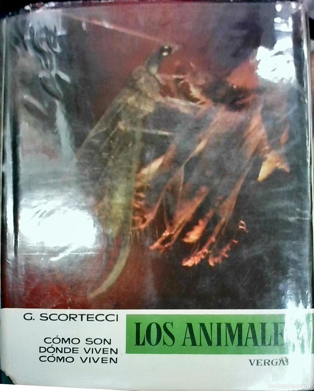 B&uuml;cher: Los animales: C&oacute;mo son, d&oacute;nde viven, c&oacute;mo viven. Volumen V - Giuseppe Scortecci: