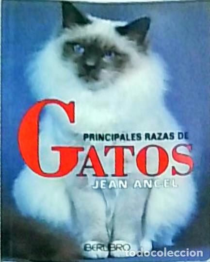 Libros: Principales razas de gatos - Jean Ancel: