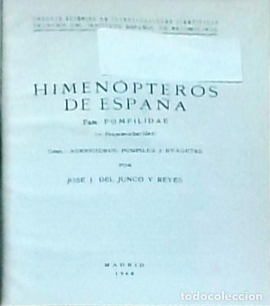 Livres: Himen&oacute;pteros de Espa&ntilde;a: Fam. Pompilidae (= Psammocharidae) - Jos&eacute; J. del Junco y Reyes: