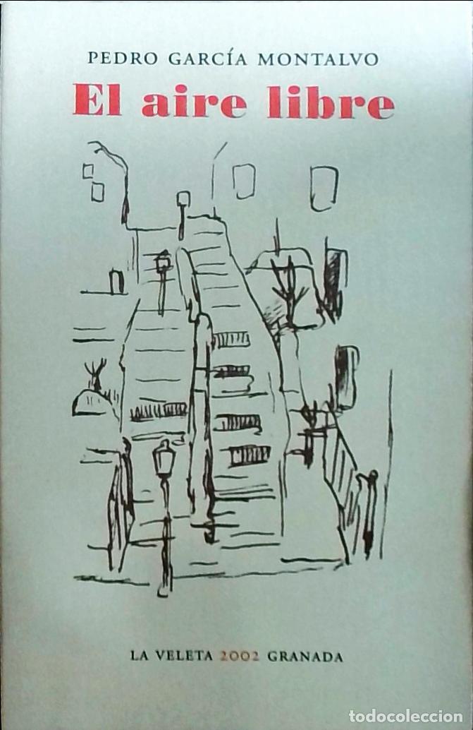 Libros: El aire libre - Pedro Garc&iacute;a Montalvo: - Foto 1