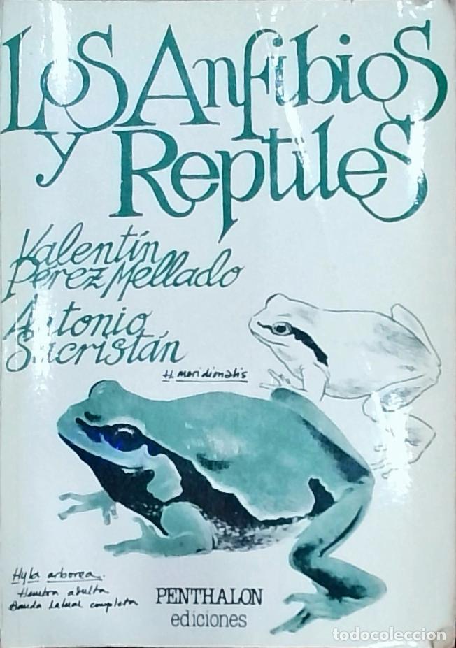 Libri di seconda mano: Los Anfibios y Reptiles - P&eacute;rez Mellado y Sacrist&aacute;n: